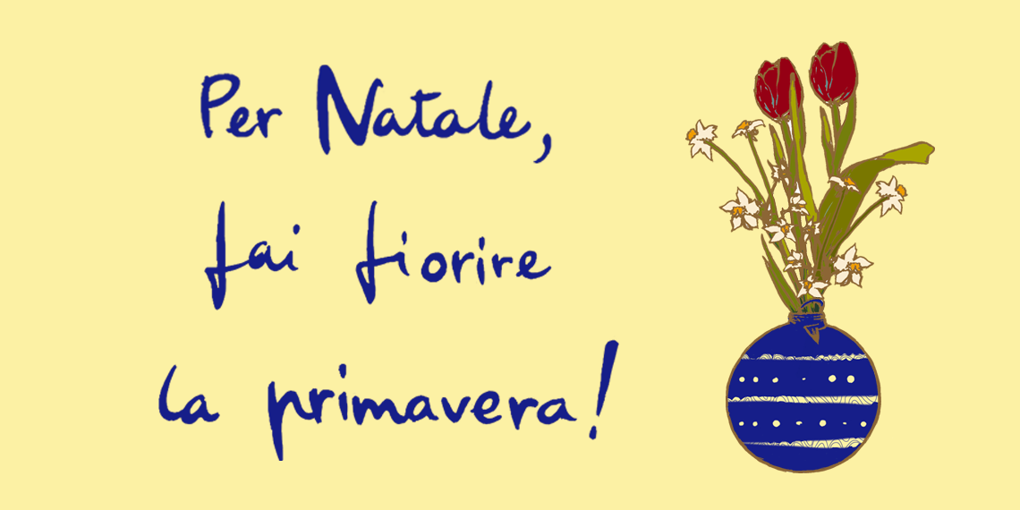 Per Natale fai fiorire la primavera! di Parco Nord Per Natale fai fiorire la primavera!-Parco Nord