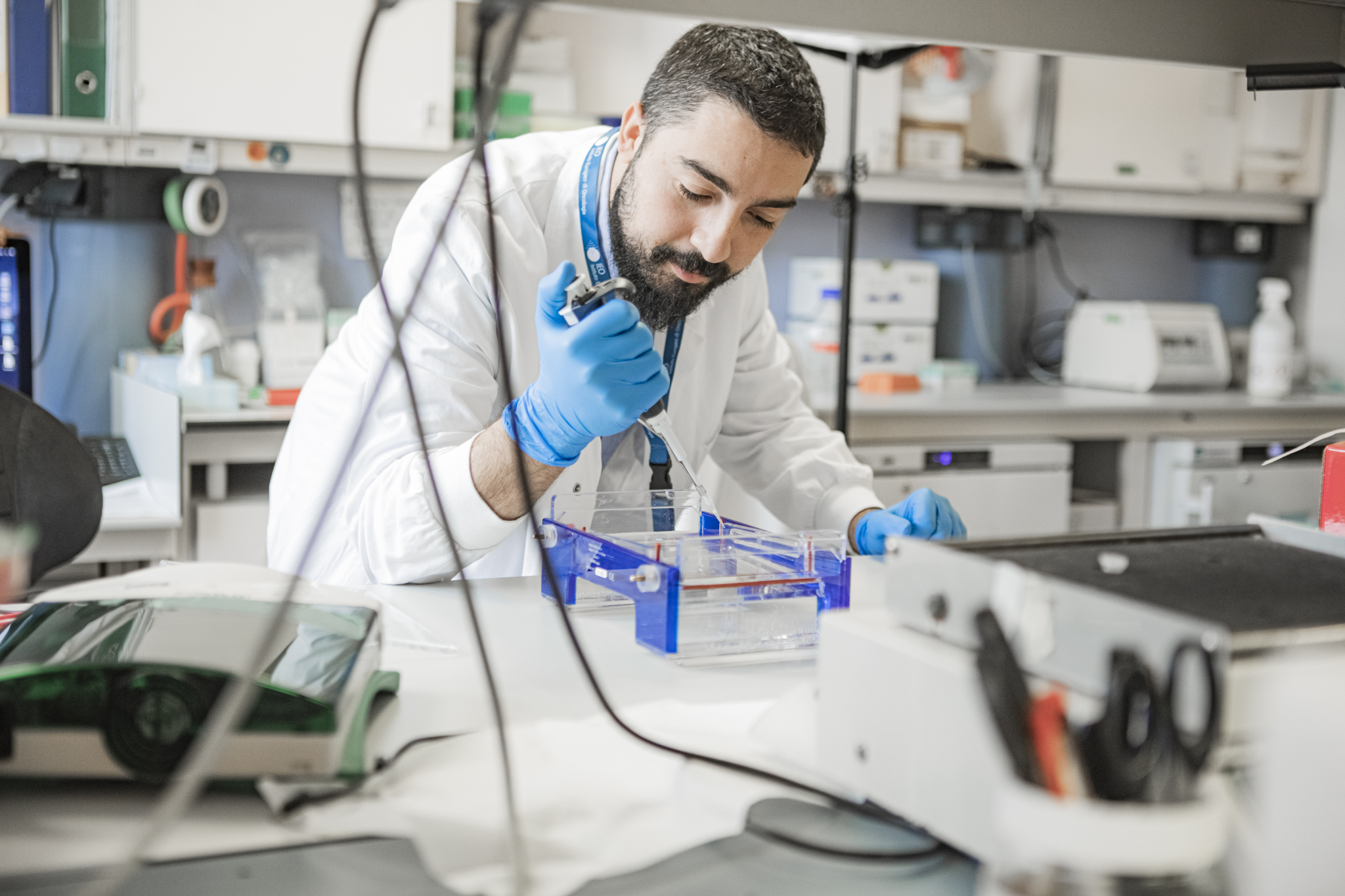 CHI RICERCA TROVA a sostegno di IEO-Fondazione IEO-MONZINO ETS