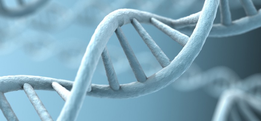 Sostieni la ricerca per la SLA di ursla novara - onlus Sostieni la ricerca per la SLA-ursla novara - onlus