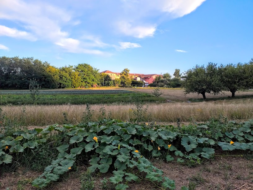 IL VIVAIO DEI TALENTI di La Monda - Fattoria Sociale IL VIVAIO DEI TALENTI-La Monda - Fattoria Sociale