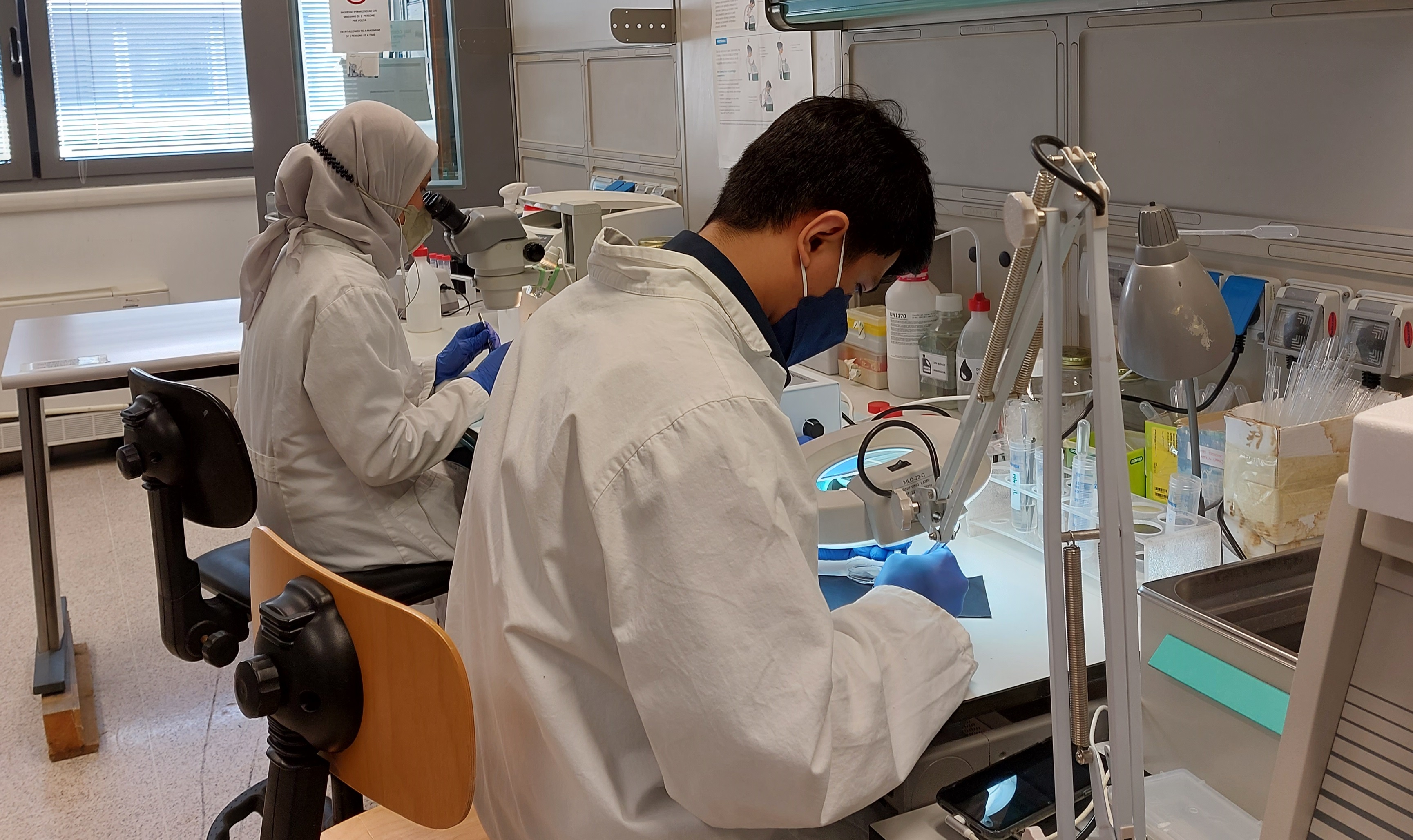 Progetto LIVER-BRAIN "Rita Moretti"-Fondazione Italiana Fegato - FIF Onlus