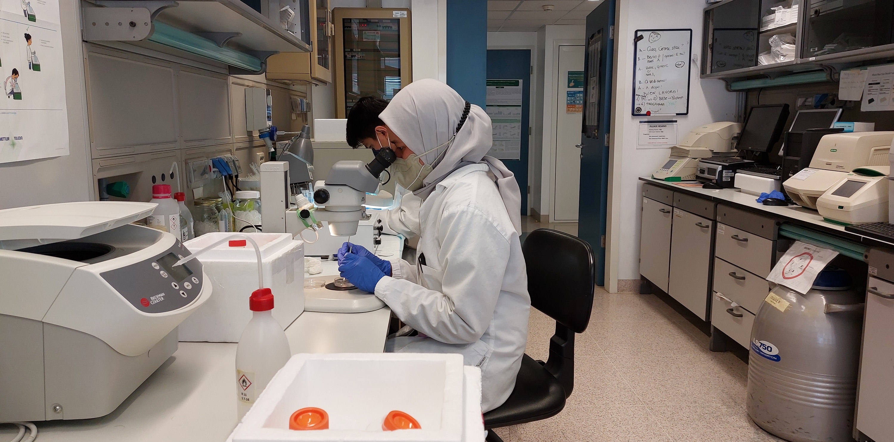 Progetto LIVER-BRAIN "Rita Moretti"-Fondazione Italiana Fegato - FIF Onlus