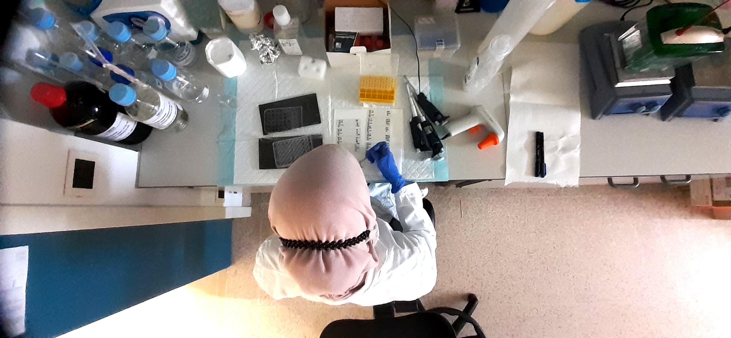 Progetto LIVER-BRAIN "Rita Moretti"-Fondazione Italiana Fegato - FIF Onlus