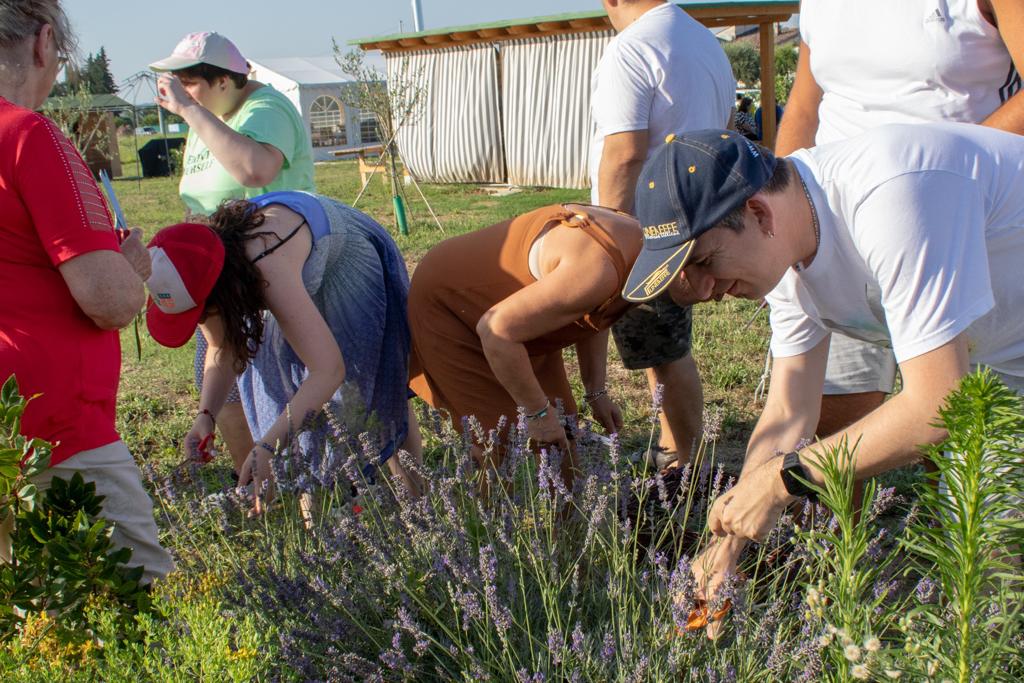 UN PULMINO PER LA PERSONA AL "CENTRO".-Ass. Vivere Sereni