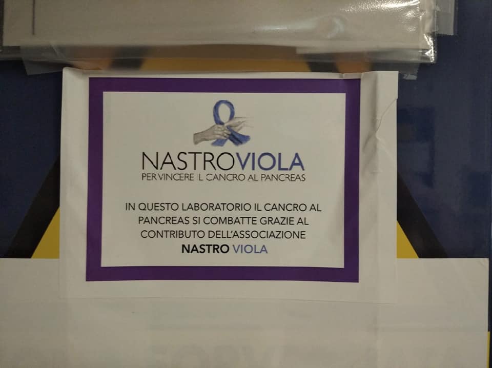 Sostieni la lotta al tumore al pancreas-Associazione Nastro Viola