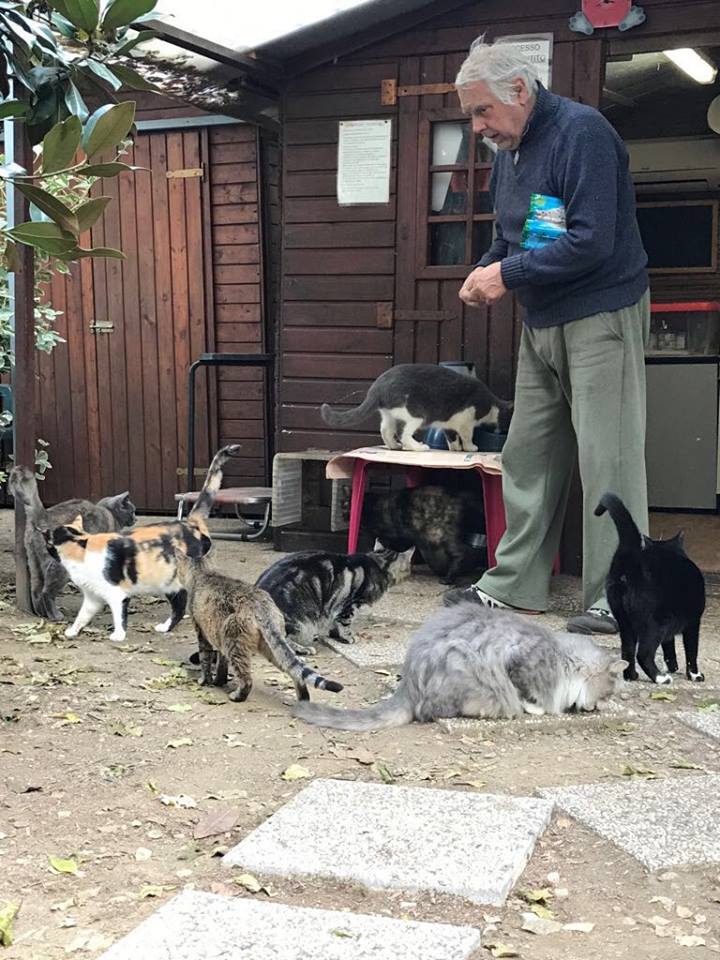 Un aiuto per Gattaland di Gattaland Un aiuto per Gattaland-Gattaland