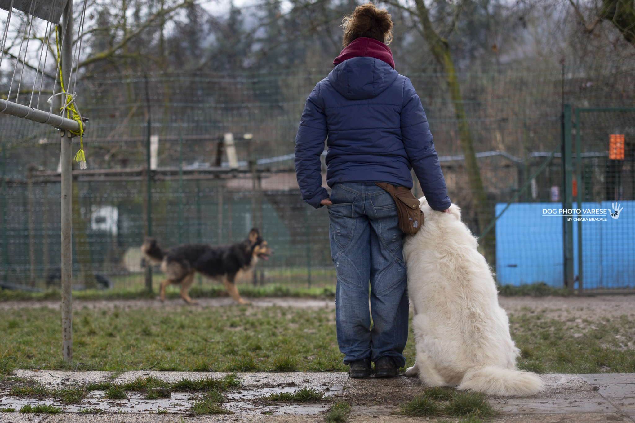 SCALDA CUCCIA PER I 4 ZAMPE DEL CANILE di SCALDA CUCCIA PER I 4 ZAMPE DEL CANILE -