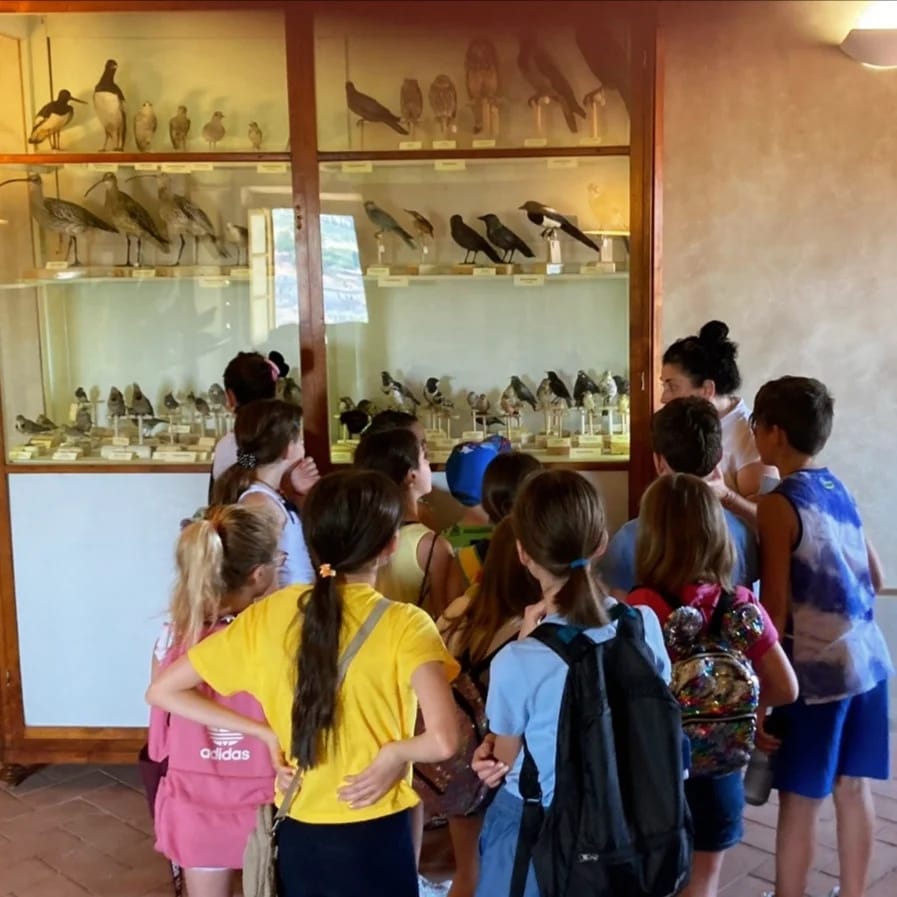 Fucecchio, Il Parco al Centro di PromoCultura Fucecchio, Il Parco al Centro-PromoCultura