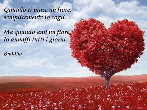 San Valentino un dono d’amore,-Associazione San Valentino OdV