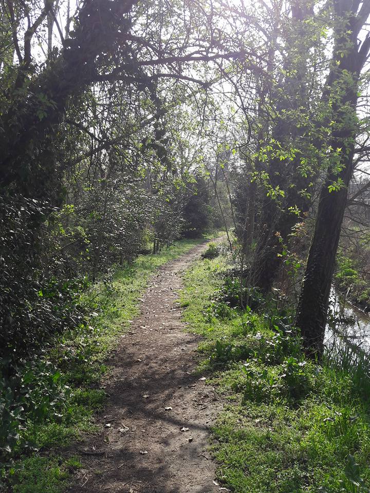 PrOSPERA di OASI DEL FONTANILE di PANTIGLIATE PrOSPERA-OASI DEL FONTANILE di PANTIGLIATE