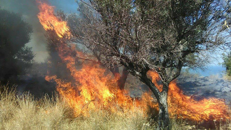 Proteggiamo il paesaggio di Sant'Andrea-ARA Onlus