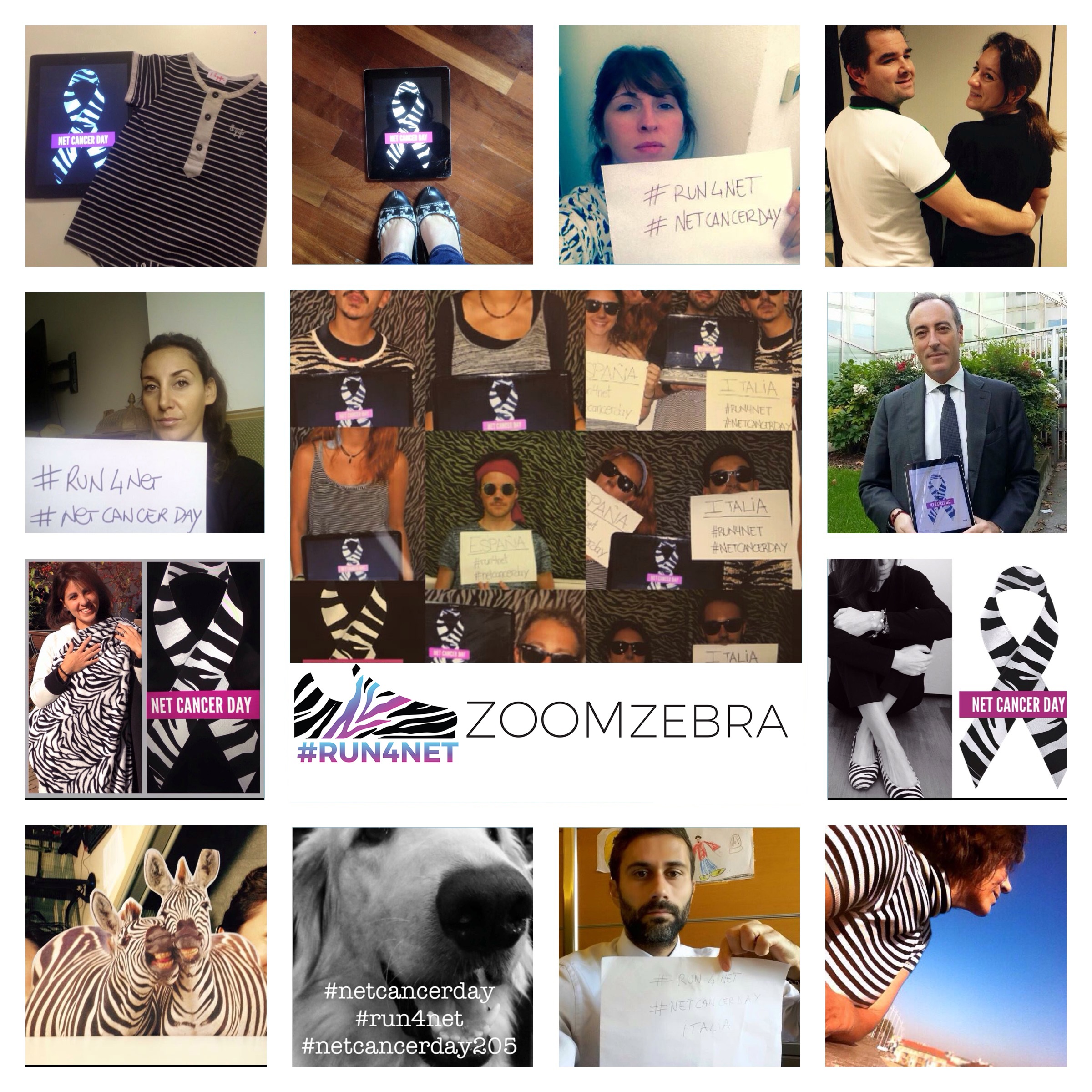 ZoomZebra : #Run4Net di Leone XIII SPORT ZoomZebra : #Run4Net-Leone XIII SPORT