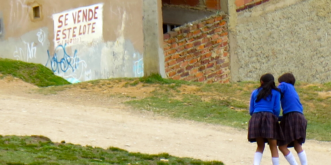 Architettura Emergenza Sviluppo