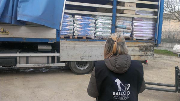 Terremoto Amatrice - Emergenza Infinita-Balzoo Onlus