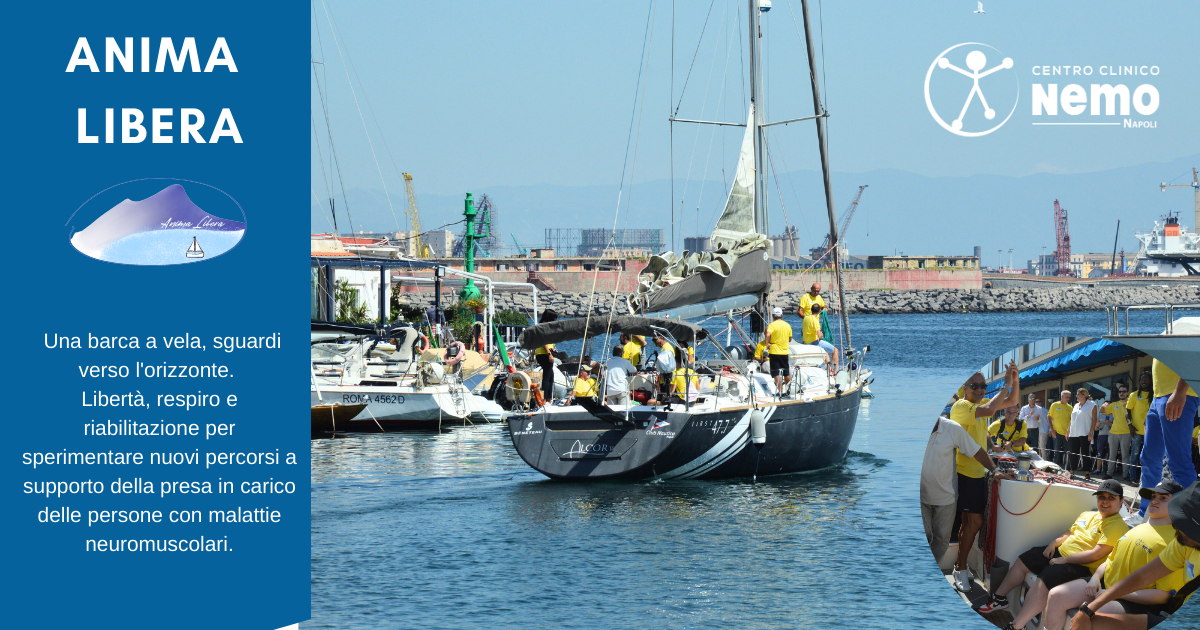 -Centro Clinico Nemo