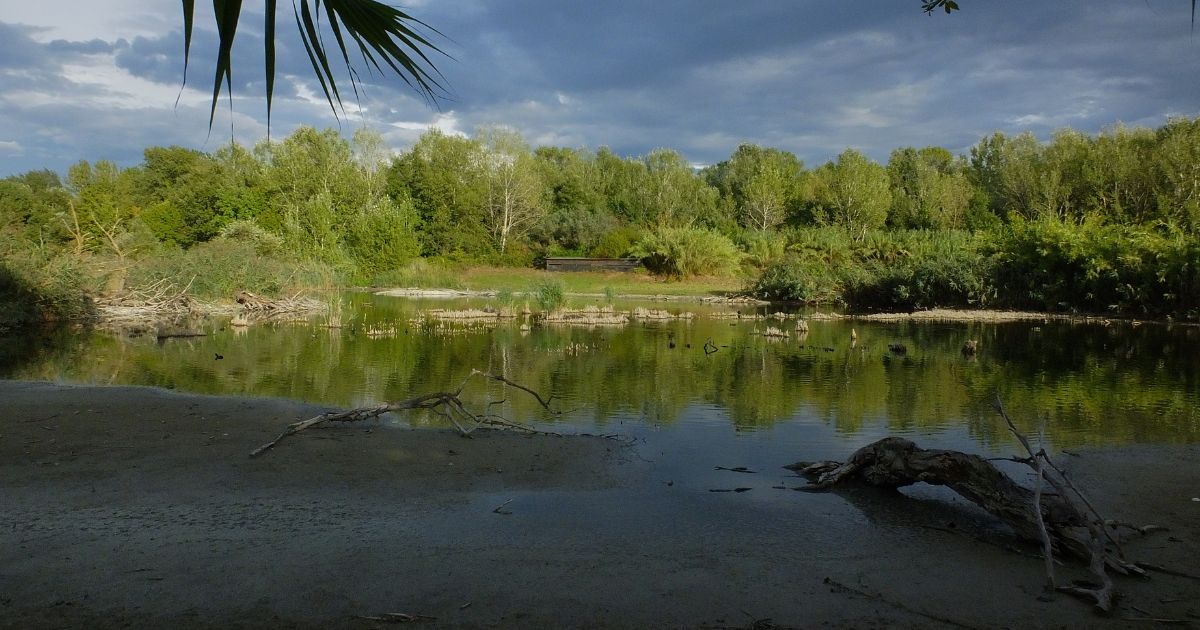 Il mio amico stagno-Associazione Naturalistica Argonauta