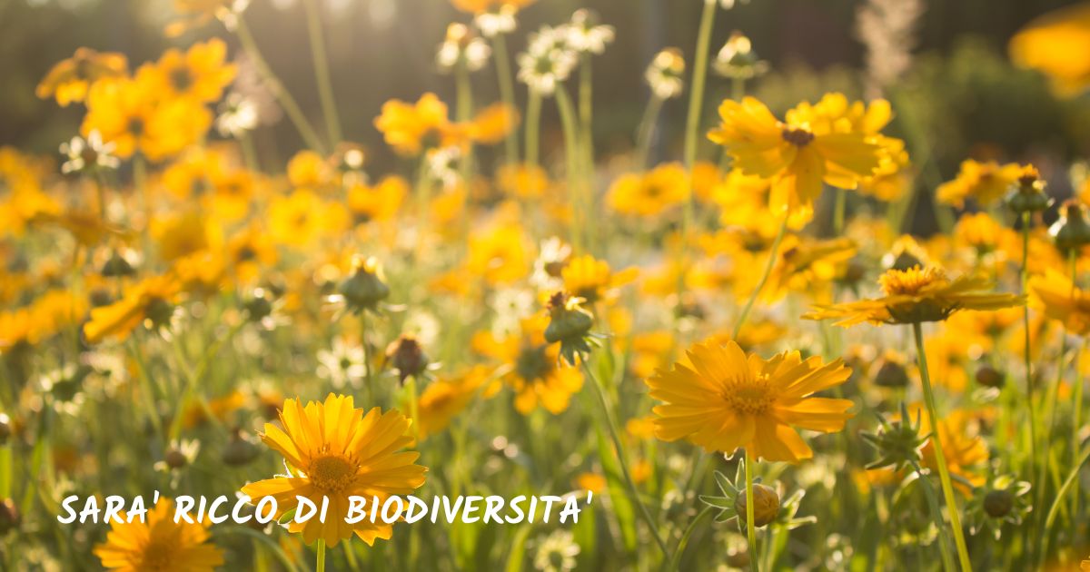 L'OrtoGiardino degli Angeli -Tum Sò Società Cooperativa Sociale