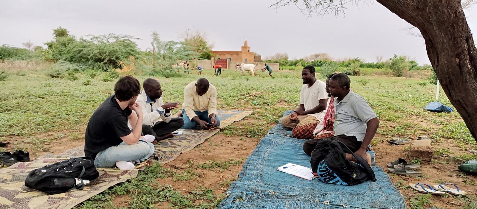Un'impresa possibile con Diste di CISV Un'impresa possibile con Diste-CISV