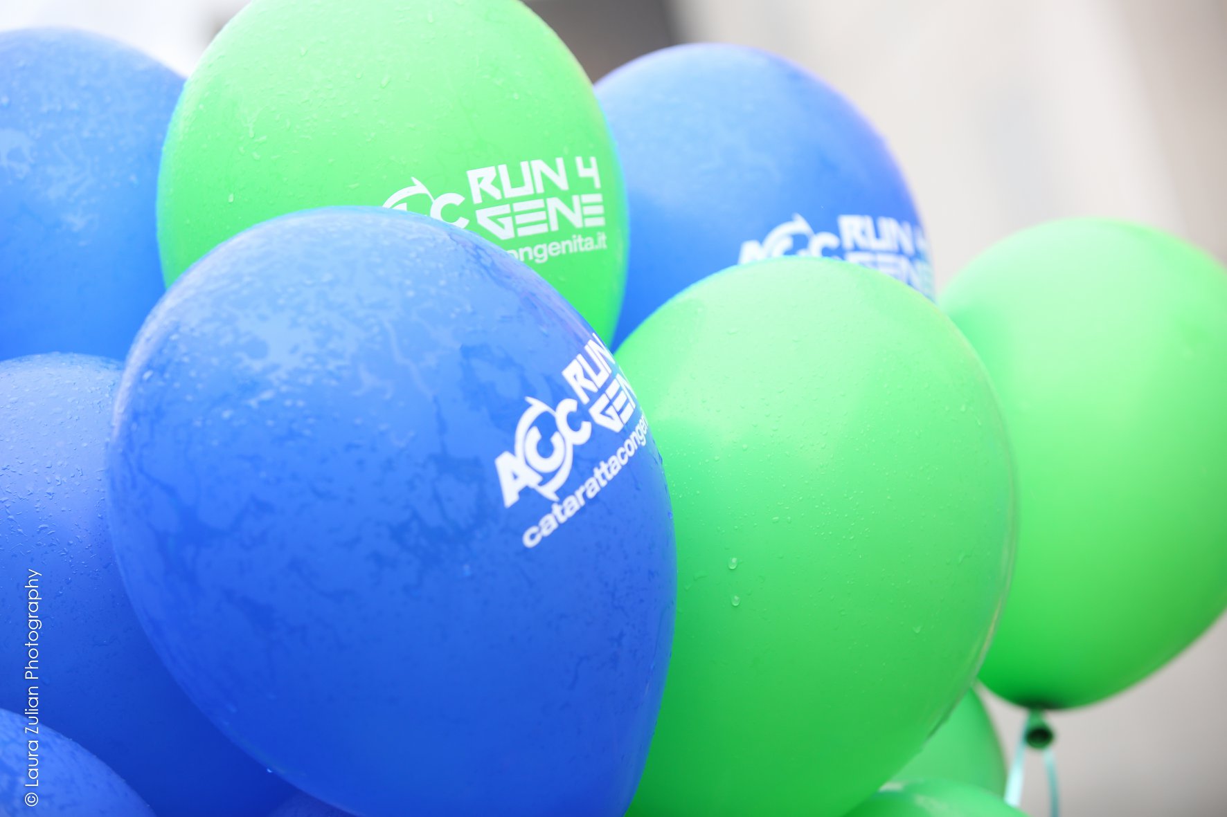 RUN 4 GENE 2023-APS Cataratta Congenita