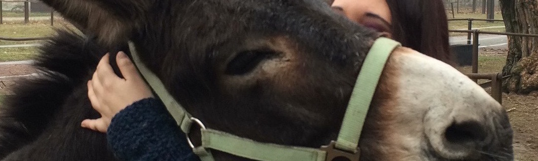 Adotta anche tu Dottor Asino!-A passo d'Asino