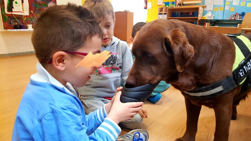 Centro Pet Therapy e Educazione Cinofila-Doctor Dog Pet Therapy