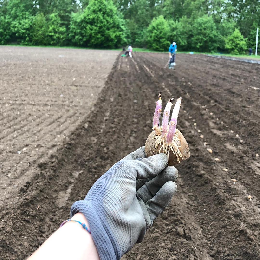 Dalla terra alla dispensa-Cooperativa Madre Terra