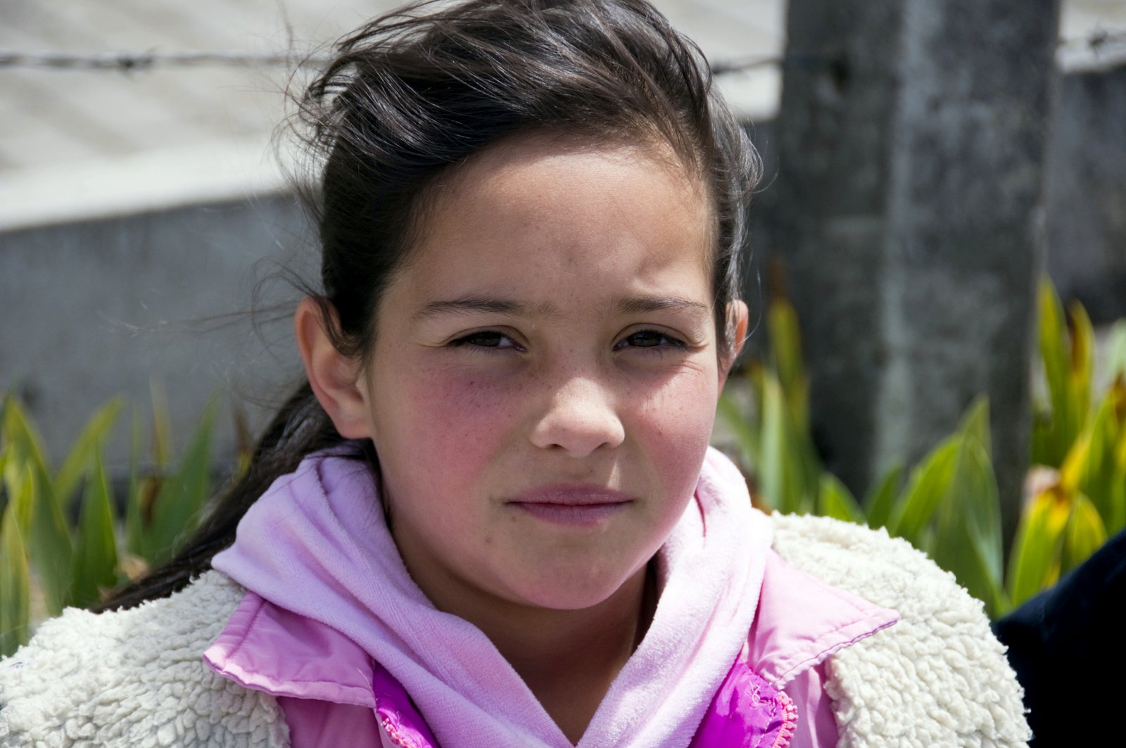 Progetto Mariflor / Campagna Flores de paz