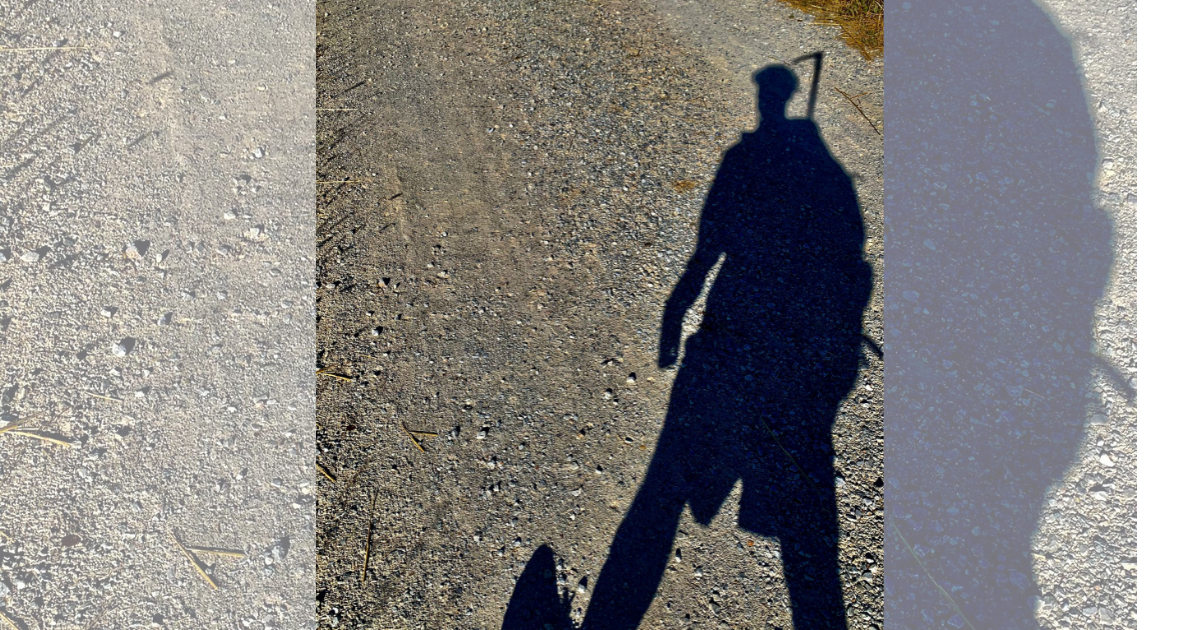 In cammino per la Pediatria di Padova-Fondazione Salus Pueri