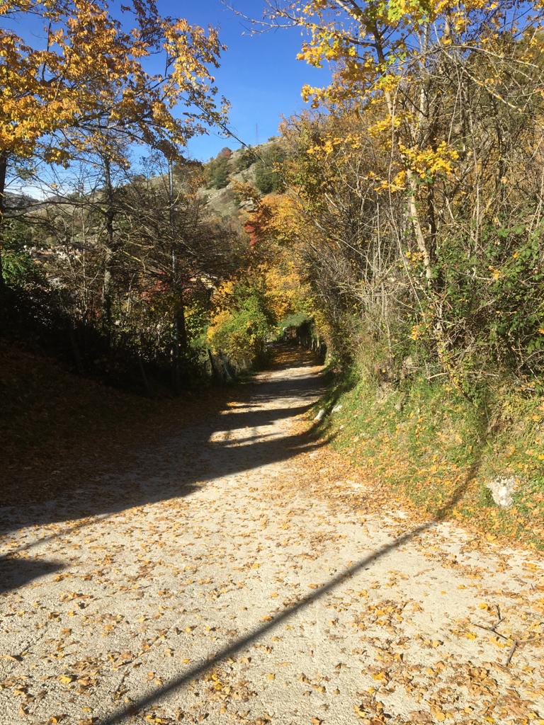 LACULO, UN PARCO GIOCHI PER TUTTE LE ETÀ di Laculo Insieme LACULO, UN PARCO GIOCHI PER TUTTE LE ETÀ-Laculo Insieme