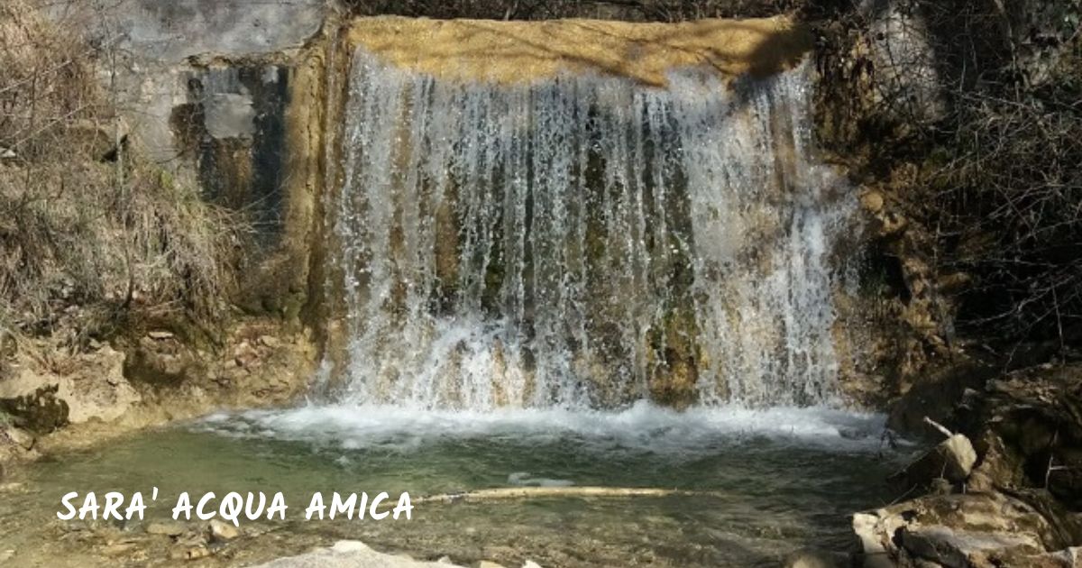 L'OrtoGiardino degli Angeli -Tum Sò Società Cooperativa Sociale