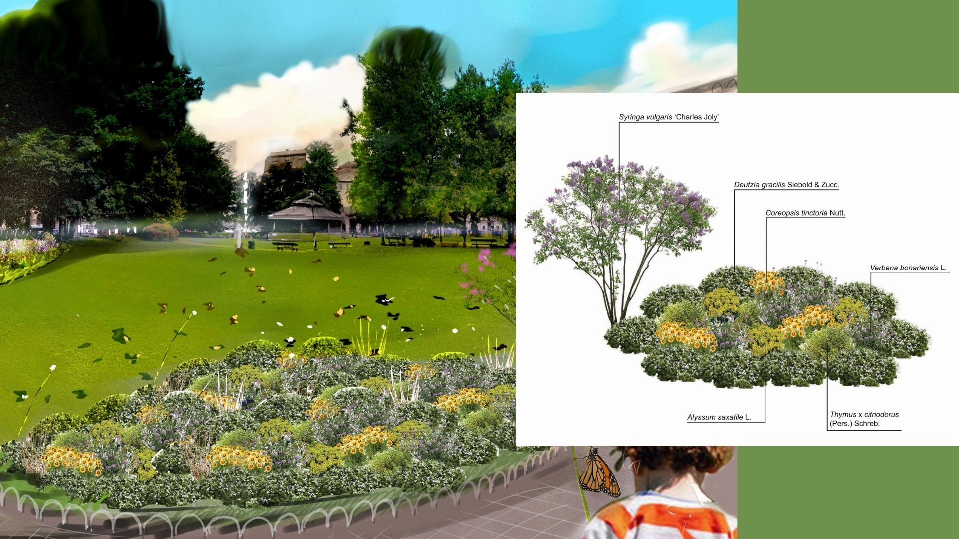 SEMINATO -Giardino forbito