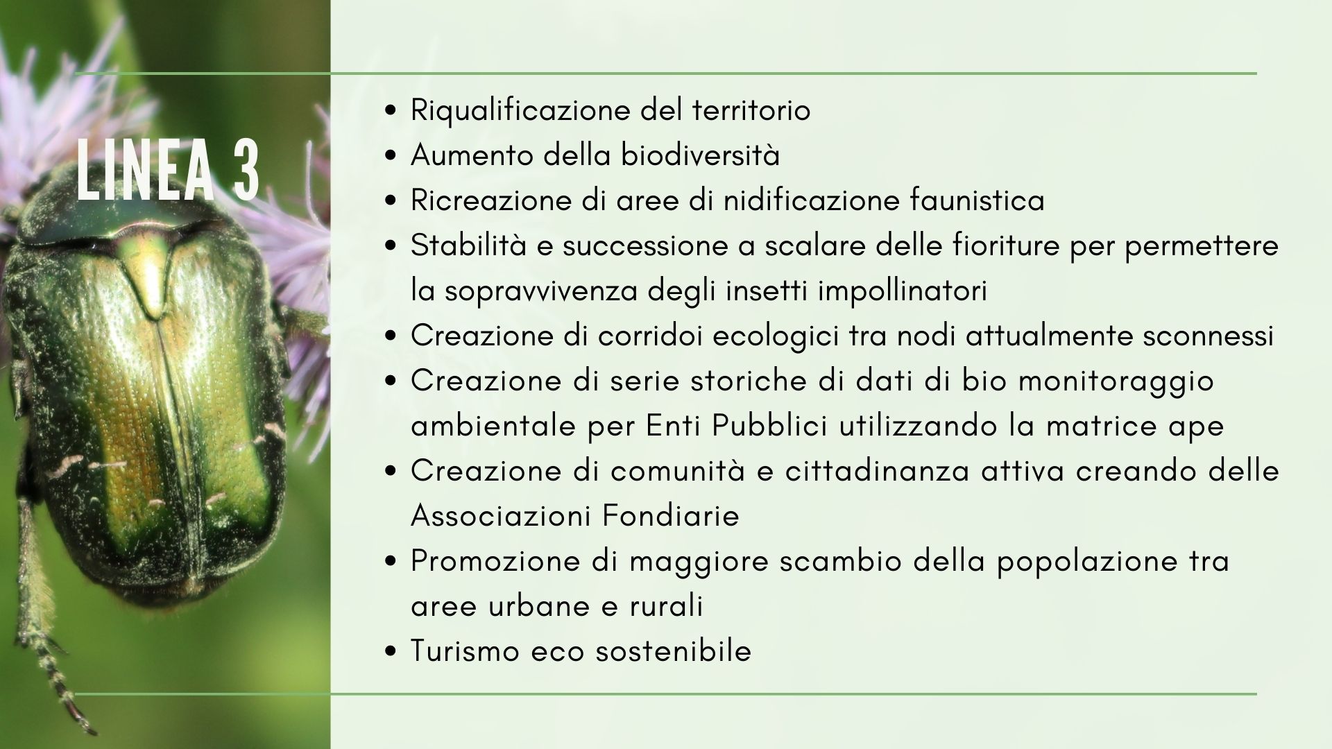 Fioraia -Un paesaggio per salvare le api di Impollinatori Fioraia -Un paesaggio per salvare le api-Impollinatori