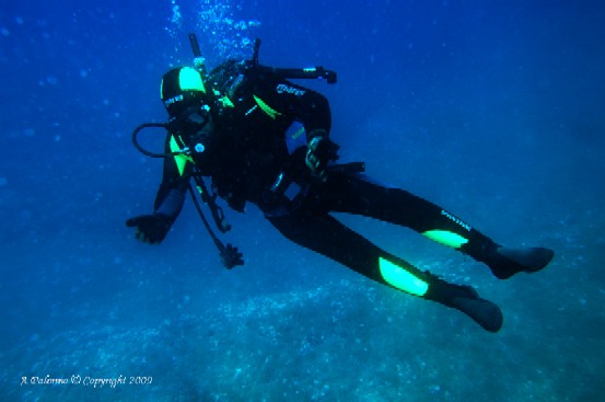 Un mare di opportunità-L.I.F.E.
