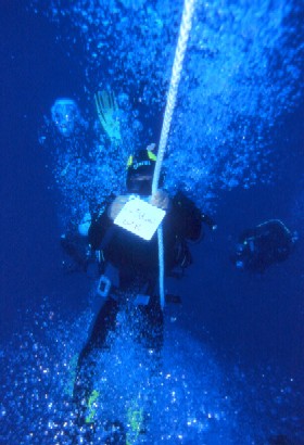 Un mare di opportunità-L.I.F.E.