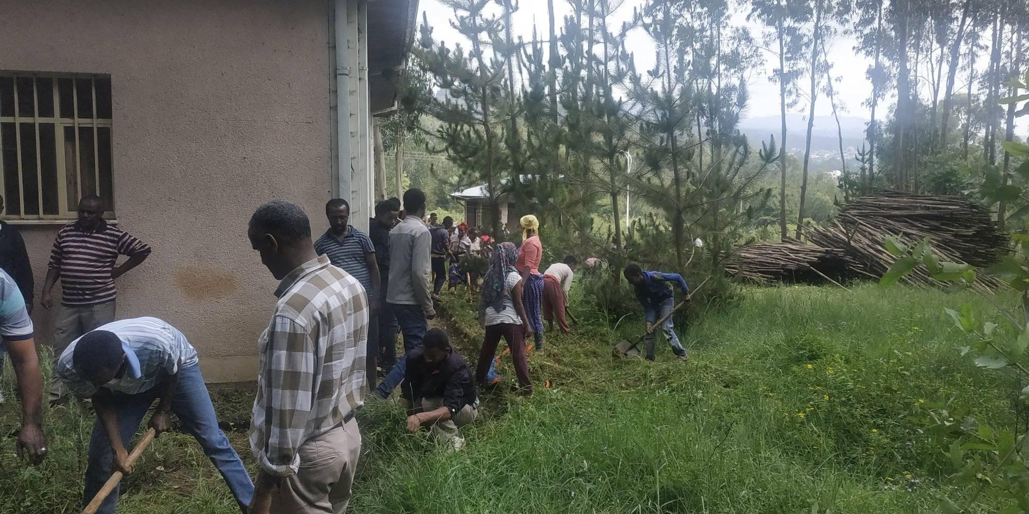 NATALE IN CASA TOADD di TOADD Onlus NATALE IN CASA TOADD-TOADD Onlus