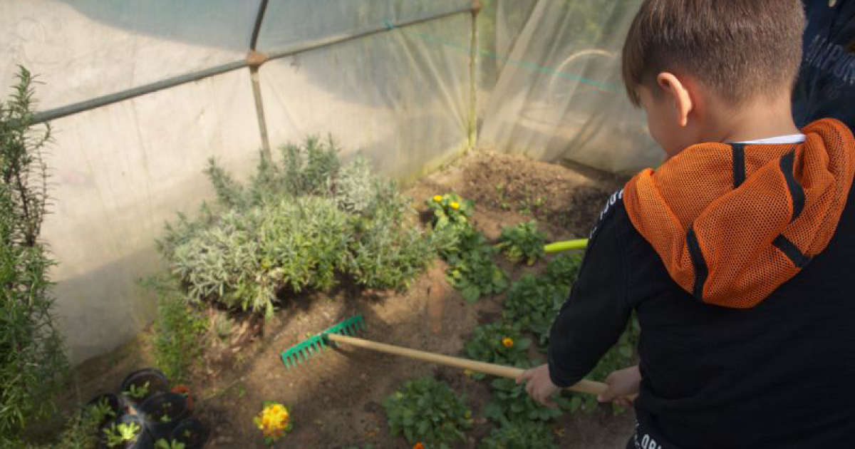 Diventiamo grandi insieme di scuola don bosco legnago Diventiamo grandi insieme-scuola don bosco legnago