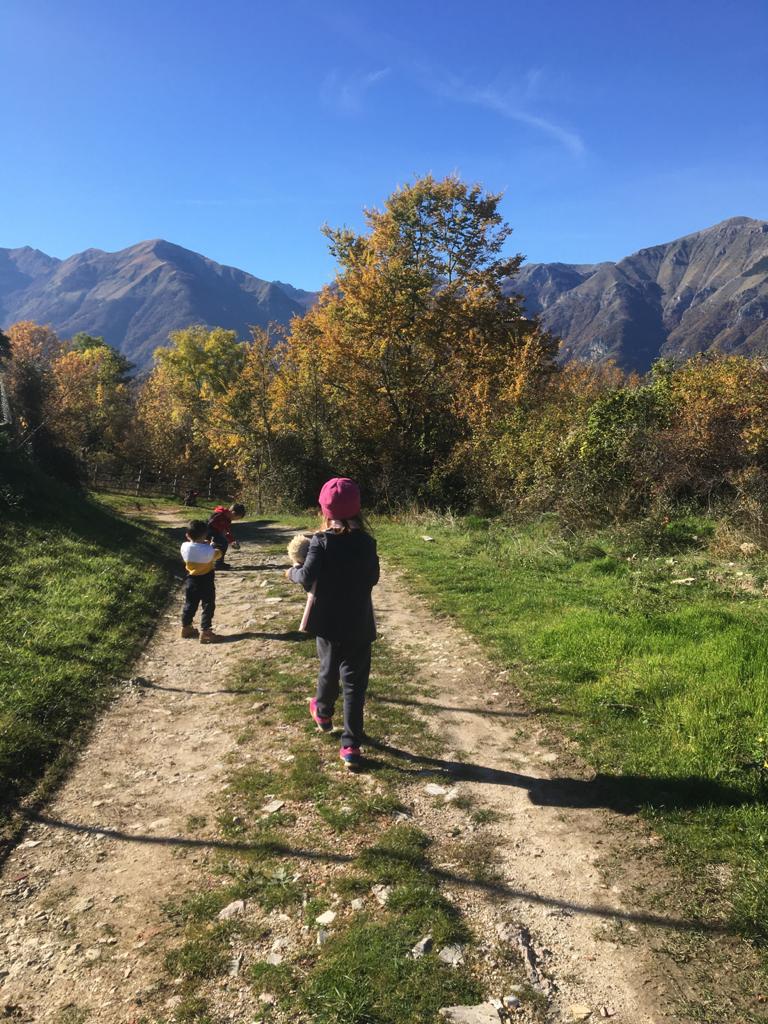 LACULO, UN PARCO GIOCHI PER TUTTE LE ETÀ di Laculo Insieme LACULO, UN PARCO GIOCHI PER TUTTE LE ETÀ-Laculo Insieme