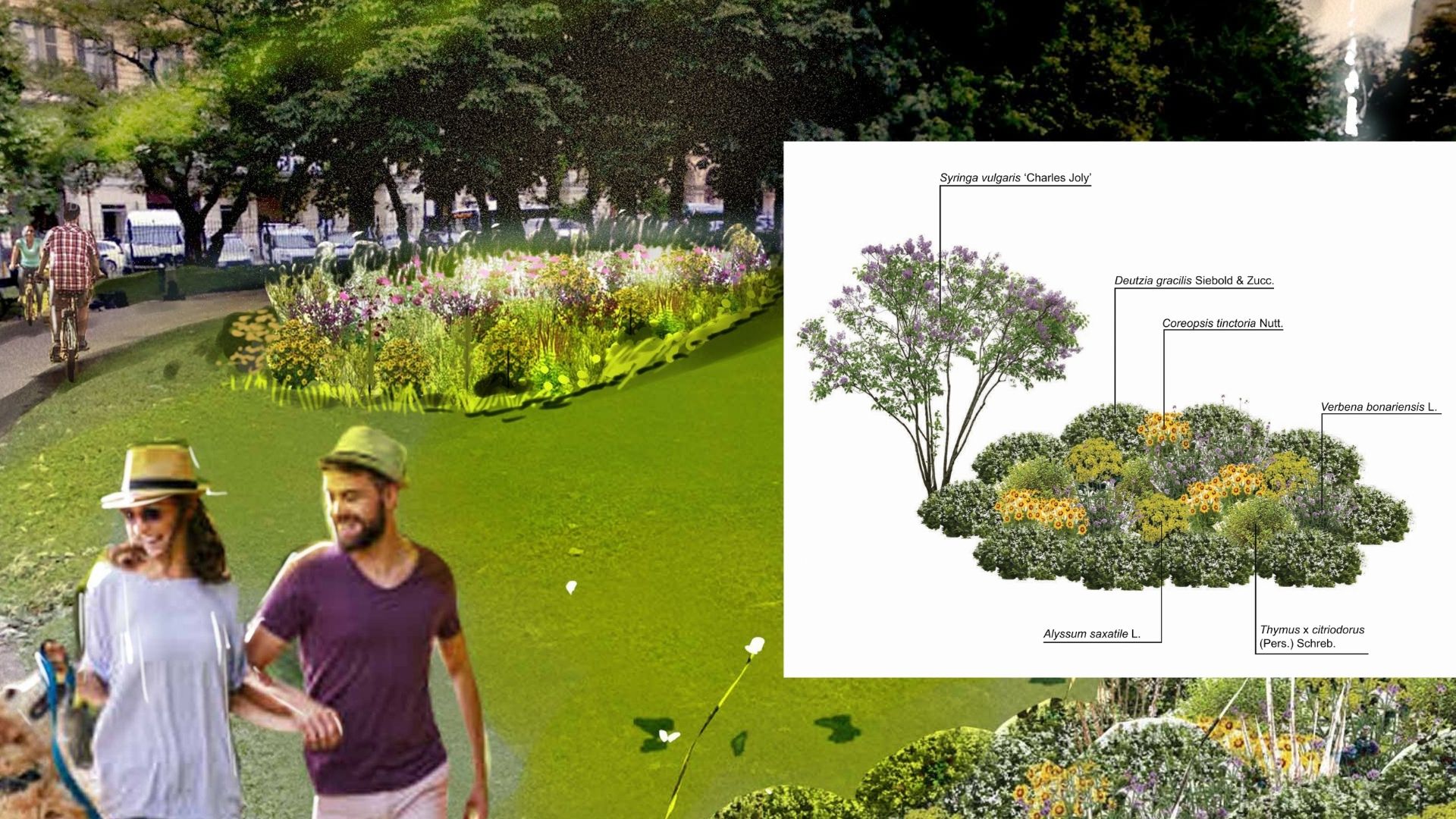 SEMINATO -Giardino forbito