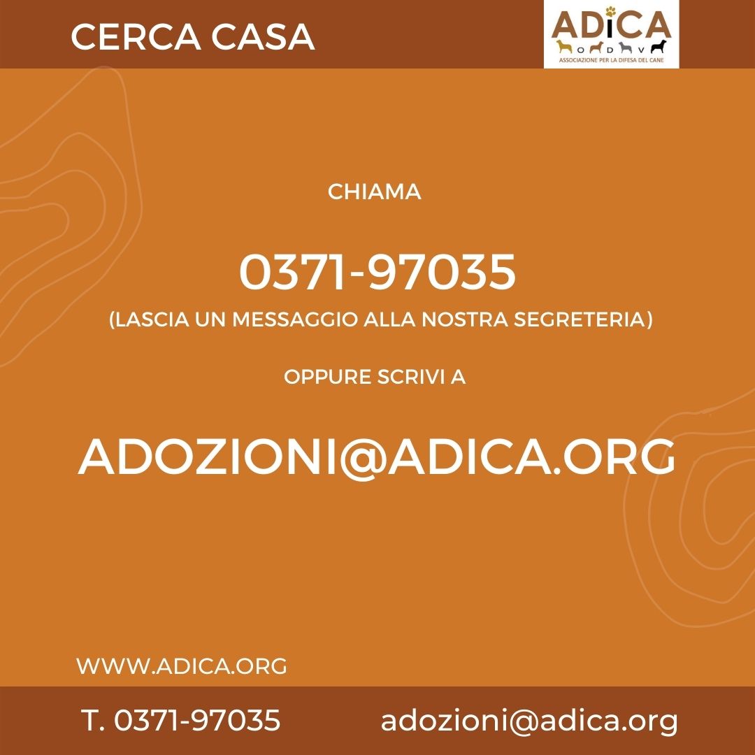 Una “masticata” di solidarietà!-A.DI.CA ODV