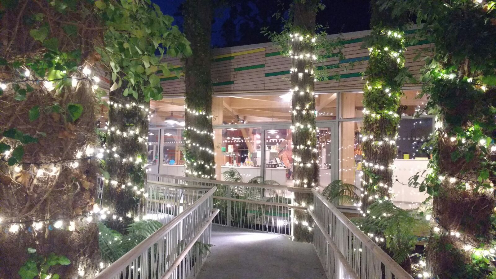 Allaccia... le scarpe, SI PARTE!-Piano C