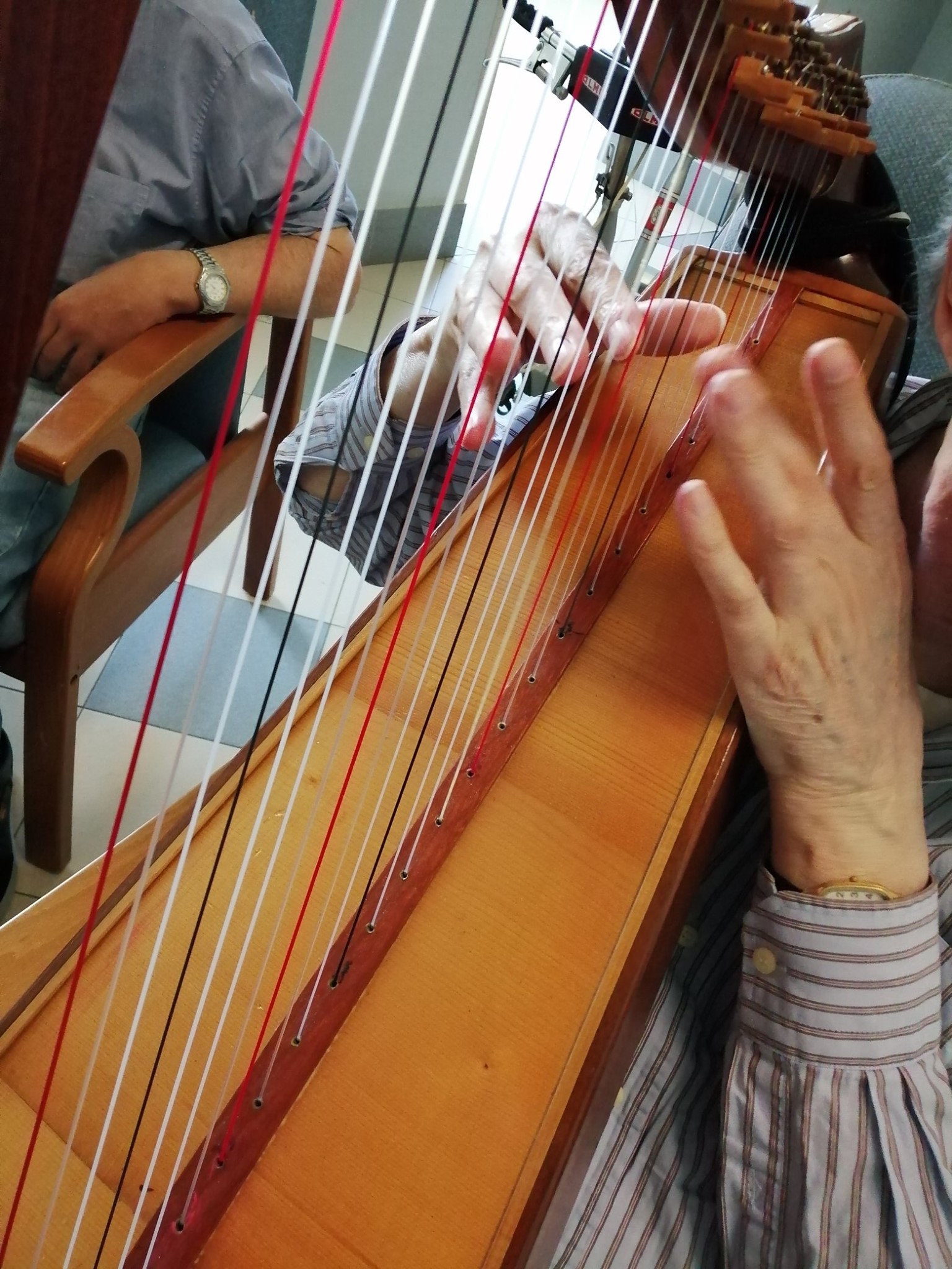 Arpademia l'Arpa per stare bene-Università Popolare dell'Alto Monferrato
