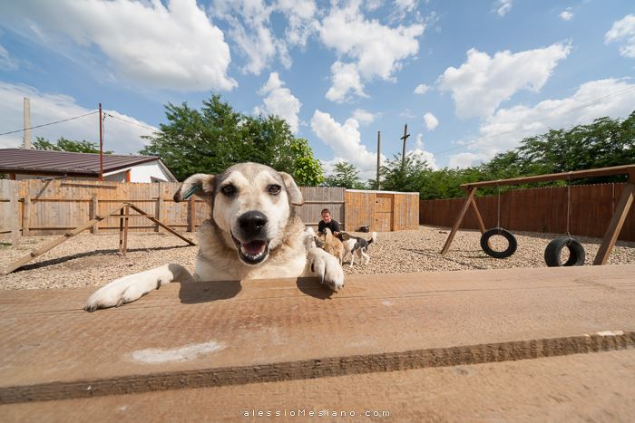 L'area di socializzazione Image