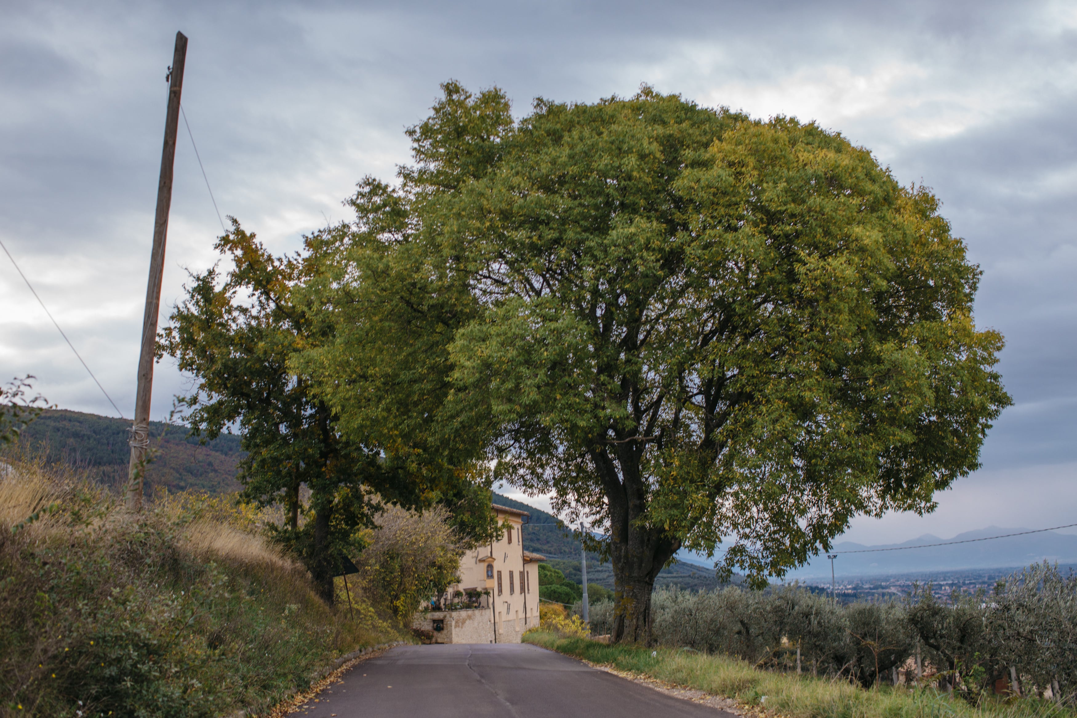 Progetto Bambini Liberi-La Cordata