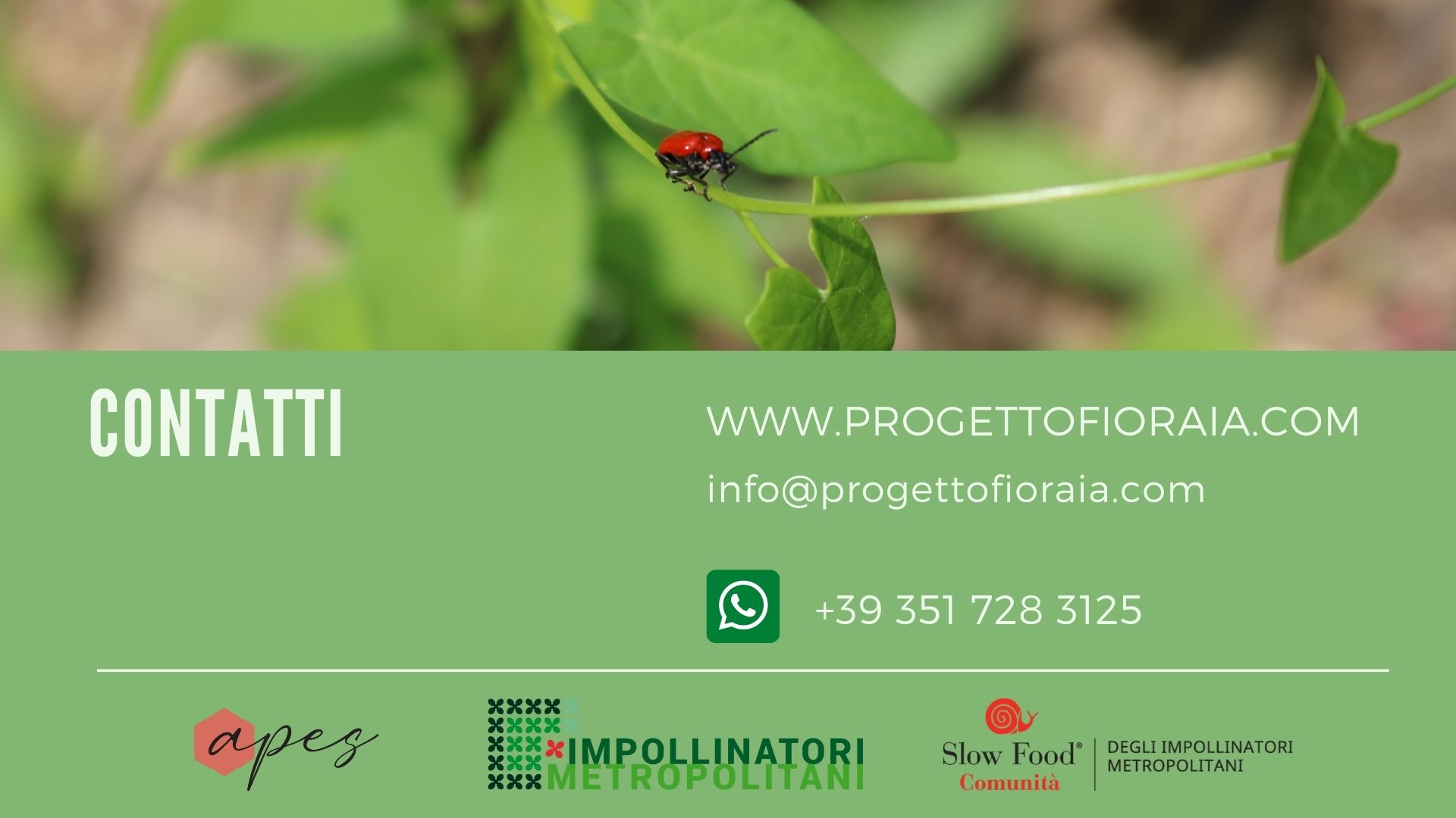 Fioraia -Un paesaggio per salvare le api di Impollinatori Fioraia -Un paesaggio per salvare le api-Impollinatori