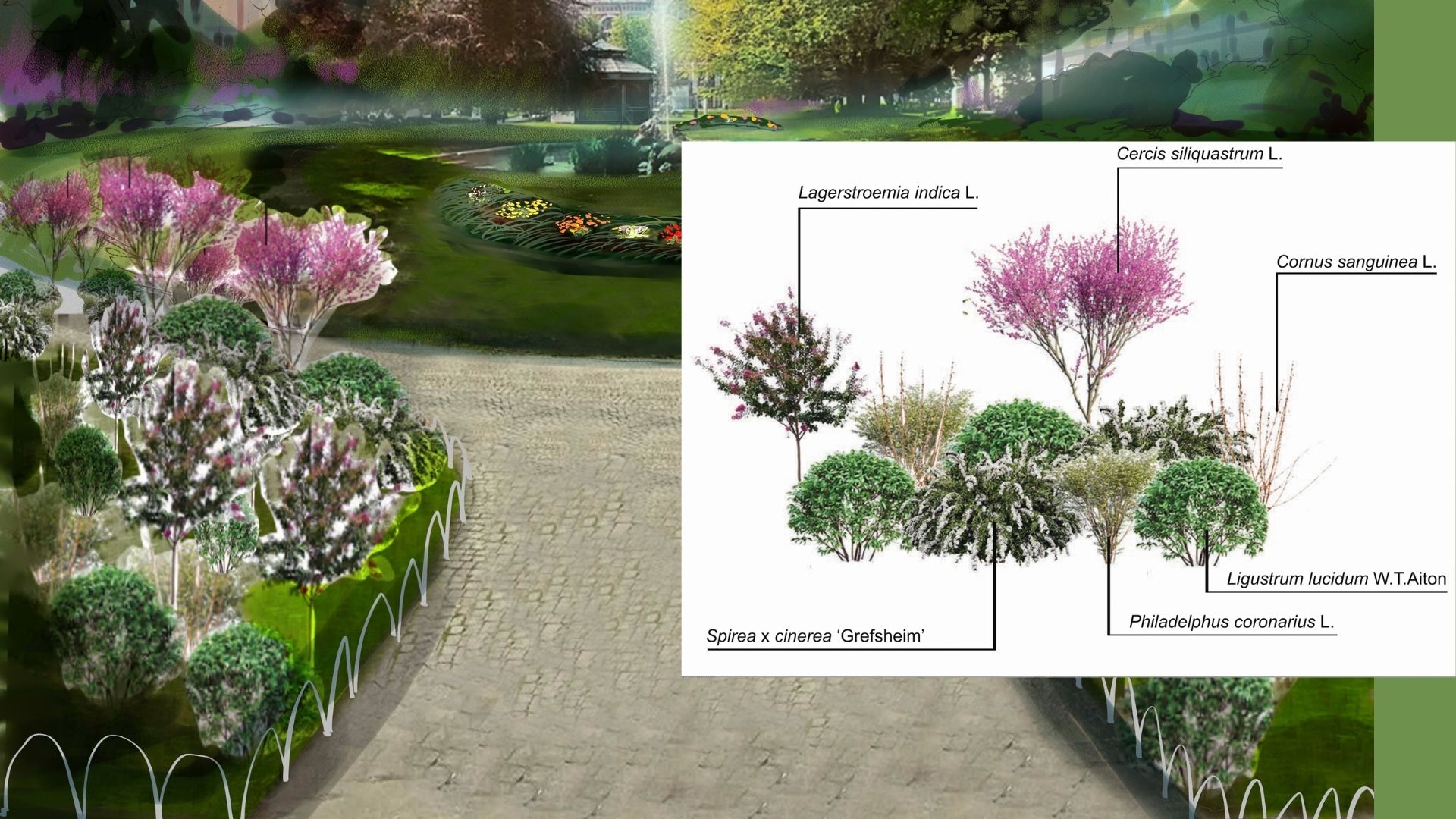 SEMINATO -Giardino forbito