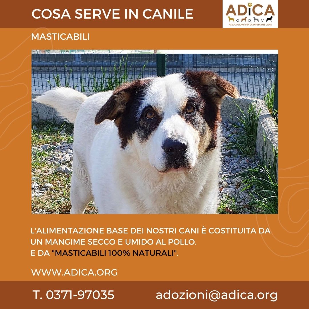 Una “masticata” di solidarietà!-A.DI.CA ODV