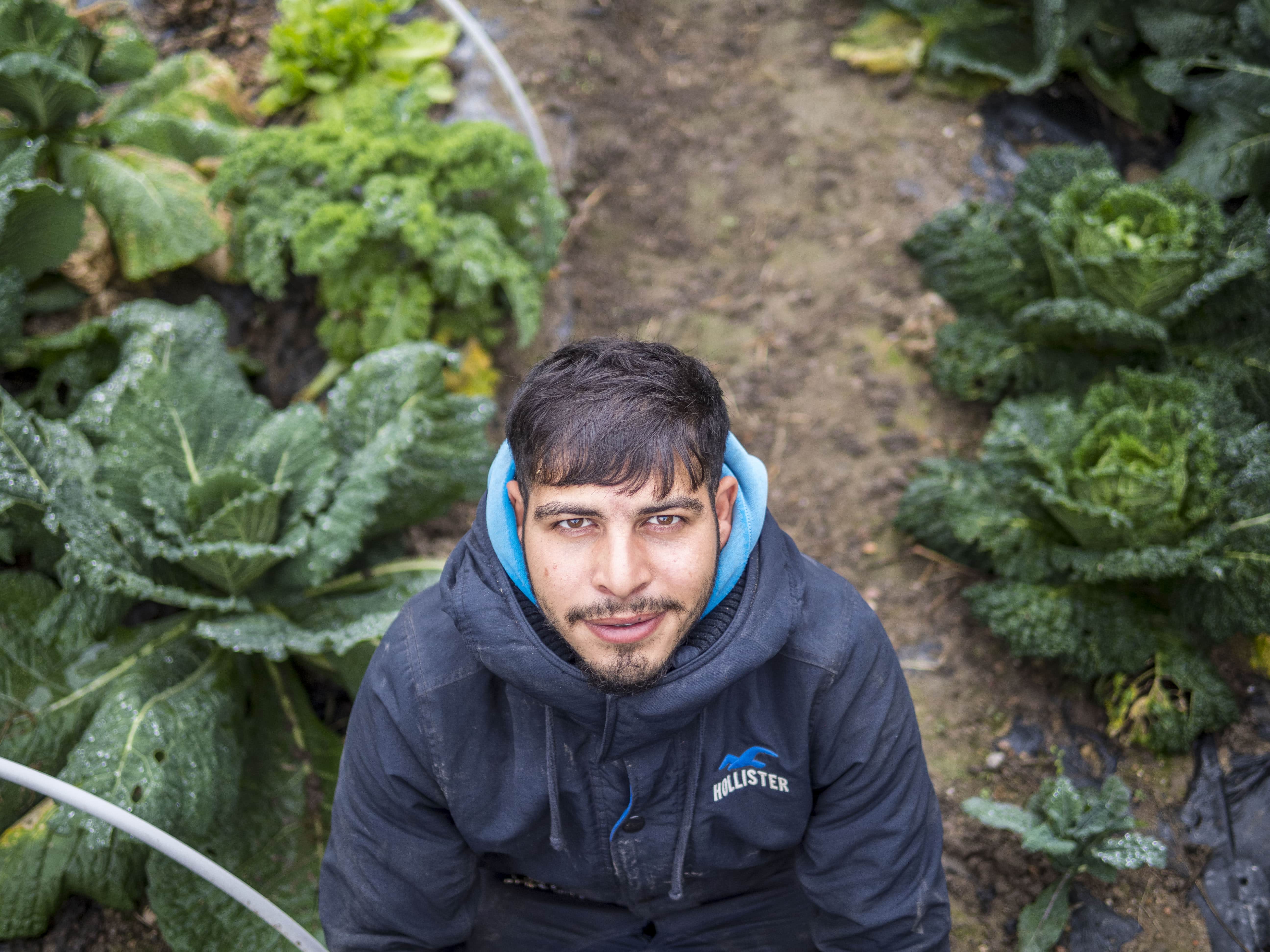 Dalla terra alla dispensa-Cooperativa Madre Terra