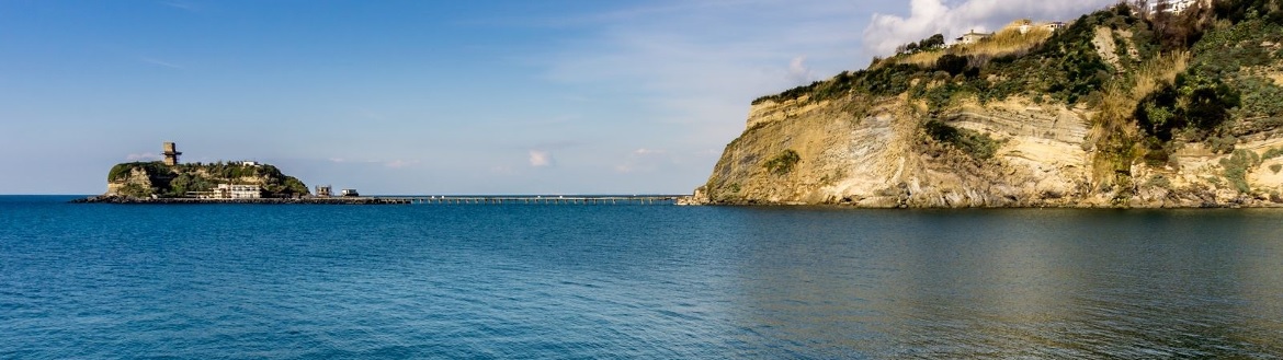 Monte di Procida Solidale-PROTEZIONE CIVILE FALCO