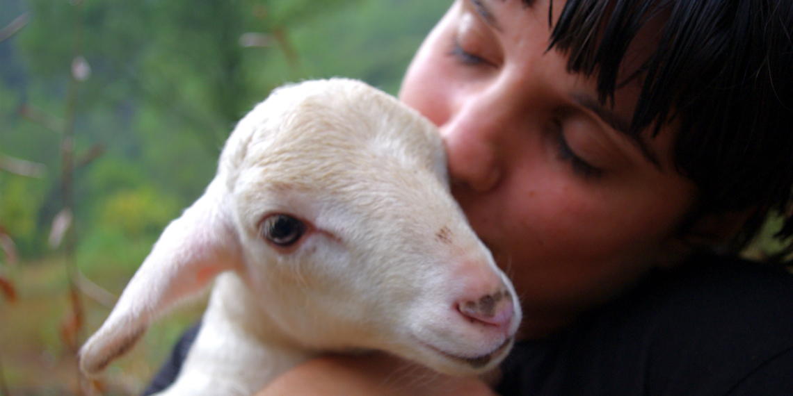 #Run4Animals per un mondo senza gabbie-Animal Equality