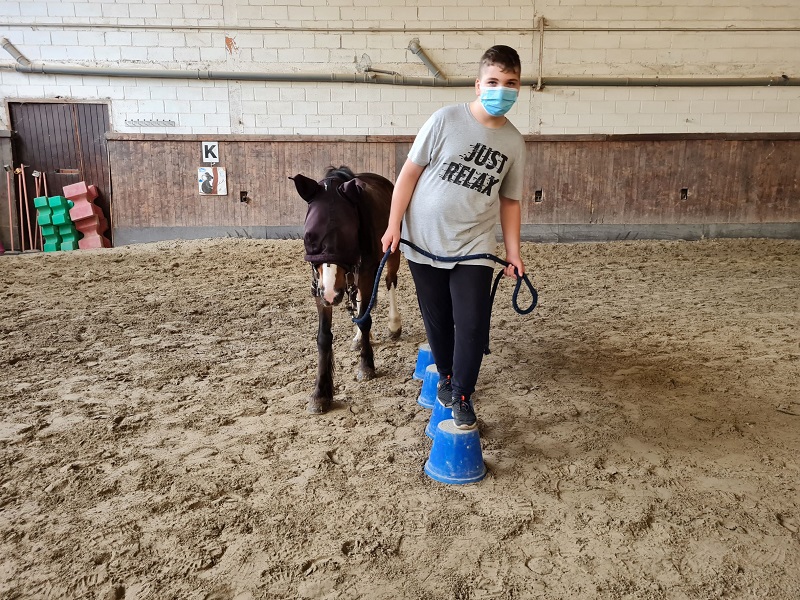 ContinuaR.E.-L’ippoterapia non si fermi! di AGRES ContinuaR.E.-L’ippoterapia non si fermi!-AGRES